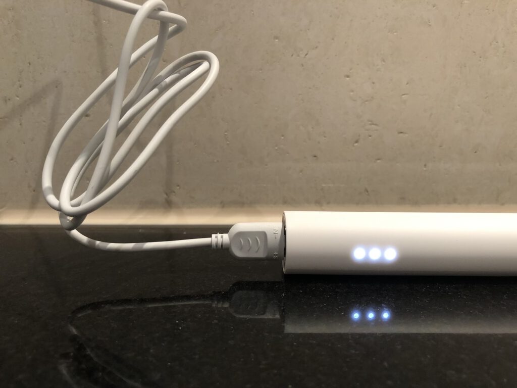 TrueLife T100 Schallzahnbürste beim Laden